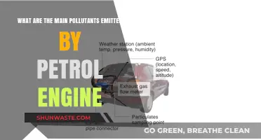 Petrol Engines: Understanding Their Harmful Emissions