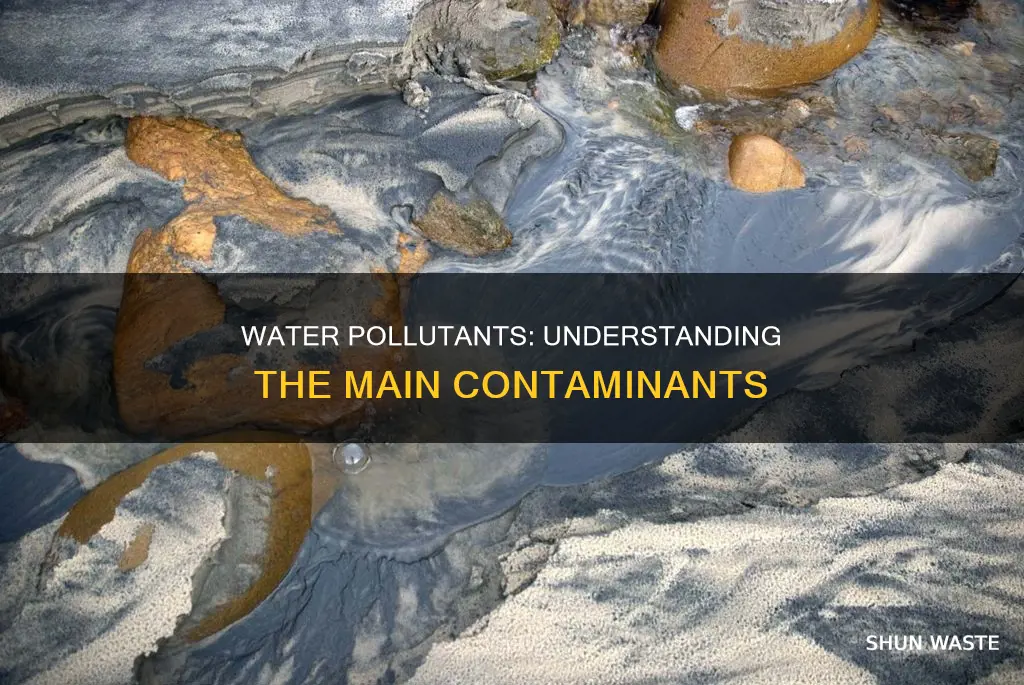 what are the main pollutants found in the water