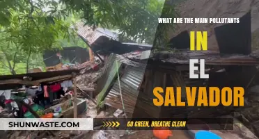 El Salvador's Pollution: Main Culprits Revealed