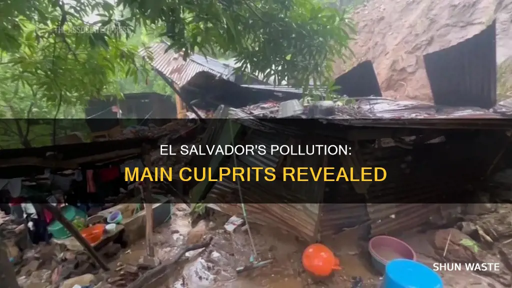 what are the main pollutants in el salvador