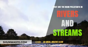 River Pollution: Main Contaminants Revealed