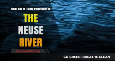Neuse River Pollution: Understanding Key Contaminants