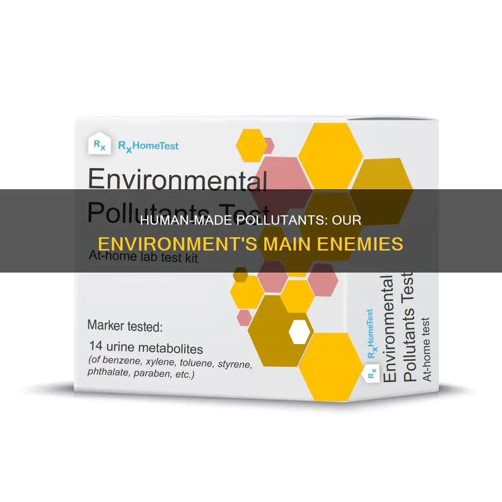 what are the main pollutants of our environment