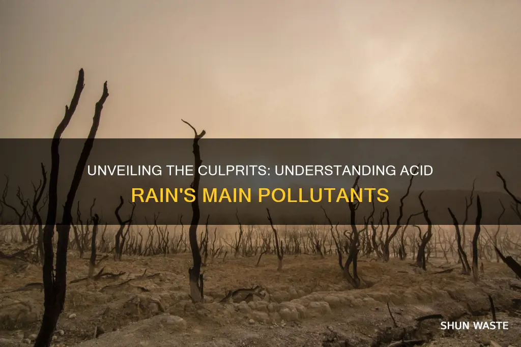 what are the main pollutants that cause acid precipitation