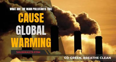 Unveiling the Culprits: Key Pollutants Driving Global Warming