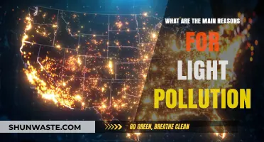 Light Pollution: Understanding the Main Causes