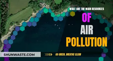 Air Pollution: Key Sources and Their Impact