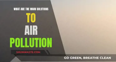 Solutions to Air Pollution: Breathe Easy