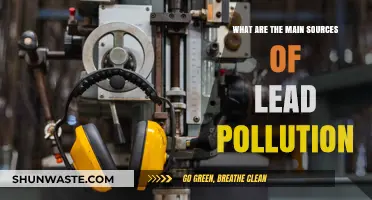 Sources of Lead Pollution: A Toxic Trail