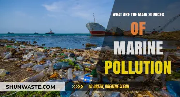 Understanding Marine Pollution: Major Sources, Big Impact