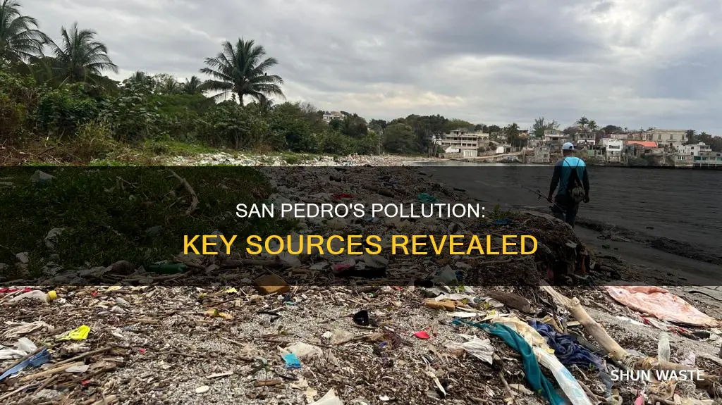 what are the main sources of pollution in san pedro