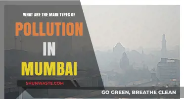 Mumbai's Pollution: Understanding the City's Key Environmental Threats