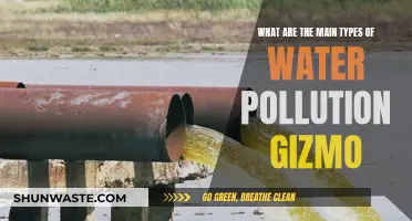 Unveiling Water's Hidden Hazards: A Guide to Pollution Types