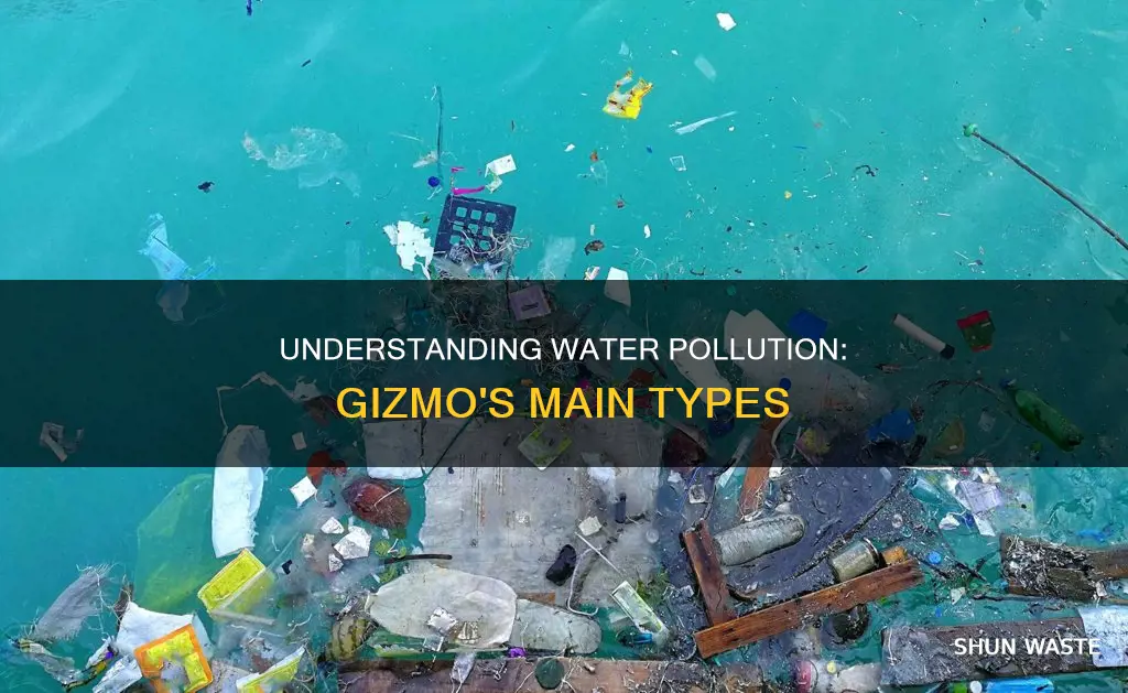 what are the main types of water pollution gizmo