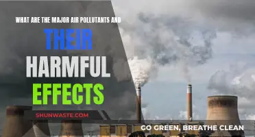 Air Pollutants: Understanding Their Harmful Impacts