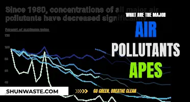 Air Pollutants: Understanding Their Impact on Our Environment