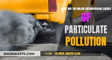 Unveiling the Human Impact: Key Sources of Particulate Pollution