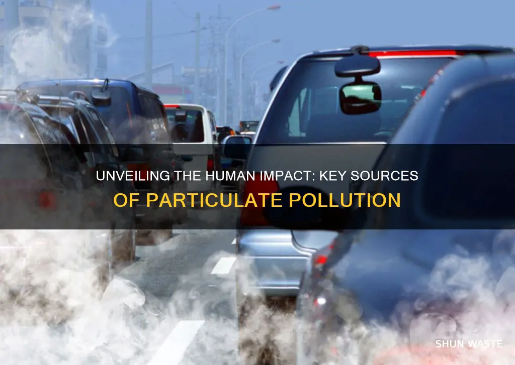 what are the major anthropogenic causes of particulate pollution