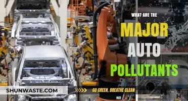 Auto Pollutants: Understanding Their Impact and Sources