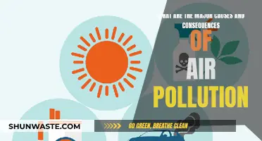 Air Pollution: Causes, Effects, and Solutions