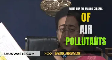 Air Pollutants: Understanding the Major Classes