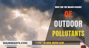Outdoor Pollutants: Understanding the Major Classes