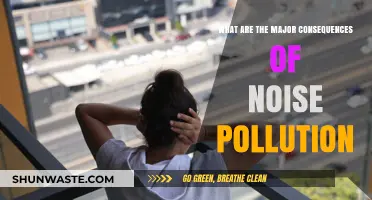 Noise Pollution: Understanding Its Devastating Impact