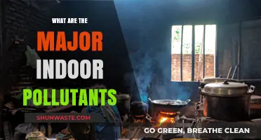 Indoor Air Quality: Understanding Major Pollutants