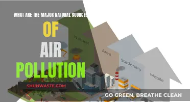 Natural Air Polluters: The Unseen Danger