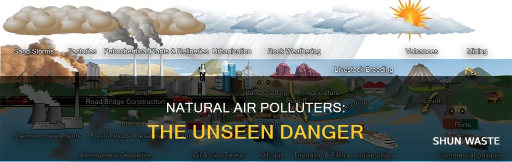 what are the major natural sources of air pollution