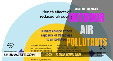 Air Pollutants: Understanding Outdoor Hazards