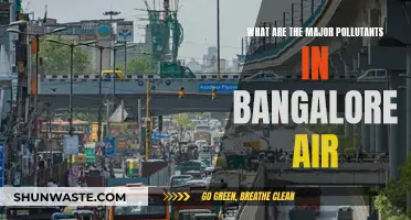 Bangalore's Air: Major Pollutants and Their Sources