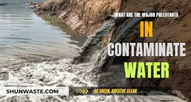 Unveiling the Hidden Dangers: Major Contaminants in Contaminated Water