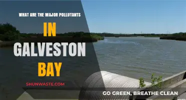 Galveston Bay: Major Pollutants and Their Sources