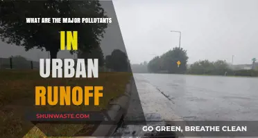 Urban Runoff: Understanding Major Pollutants and Their Impact