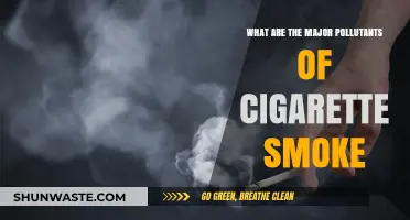 Cigarette Smoke: A Complex Mix of Harmful Pollutants