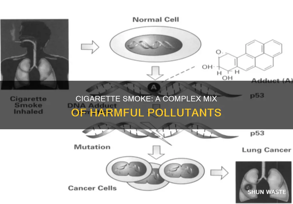 what are the major pollutants of cigarette smoke