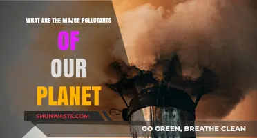 The Planet's Pollutants: Major Sources and Their Impacts