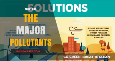 Air, Water, Soil: Major Pollutants and Their Sources