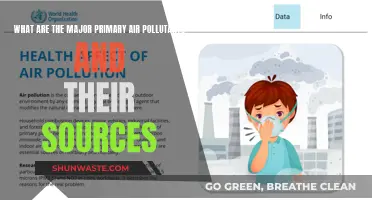 Air Pollutants: Major Sources and Primary Types