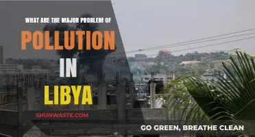 Libya's Pollution Crisis: Major Issues and Impacts