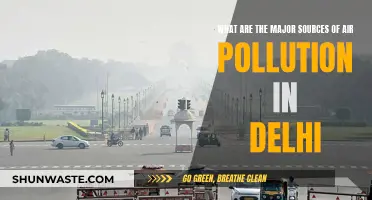 Delhi's Air Pollution: Key Sources Unveiled
