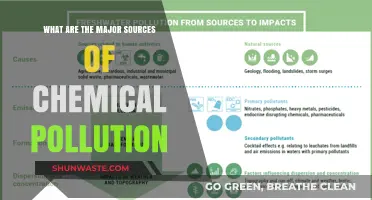Chemical Pollution: Understanding the Main Culprits