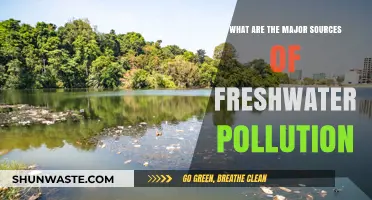 Freshwater Pollution: Major Sources and Their Impact