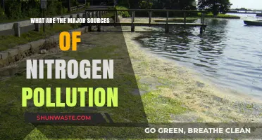 Nitrogen Pollution: Major Sources and Their Impact