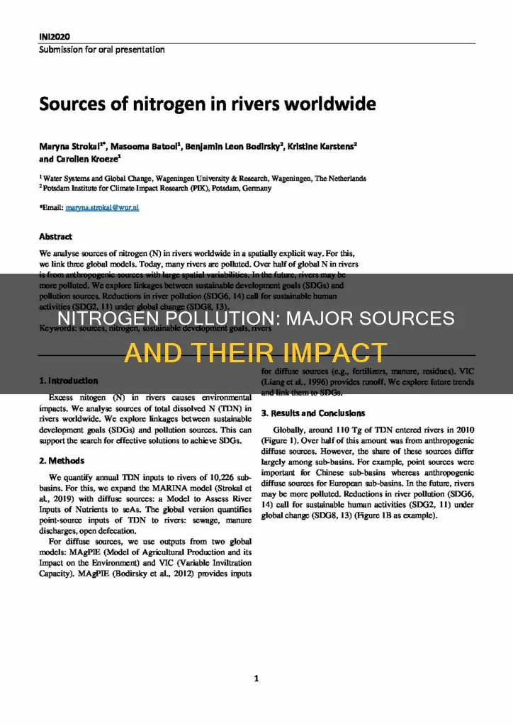 what are the major sources of nitrogen pollution
