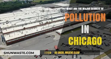 Chicago's Pollution: Major Sources and Their Impact