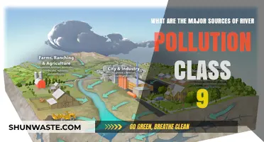 River Pollution: Major Sources and Their Impact
