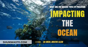 Ocean Pollution: Understanding the Major Types and Their Impact