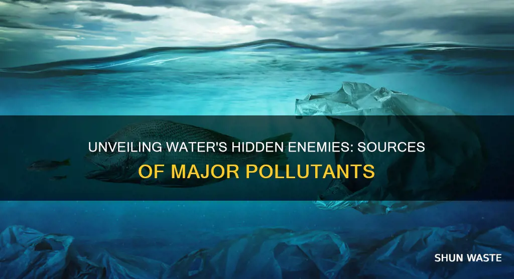 what are the major water pollutants and their sources